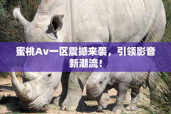 蜜桃Av一区震撼来袭，引领影音新潮流！