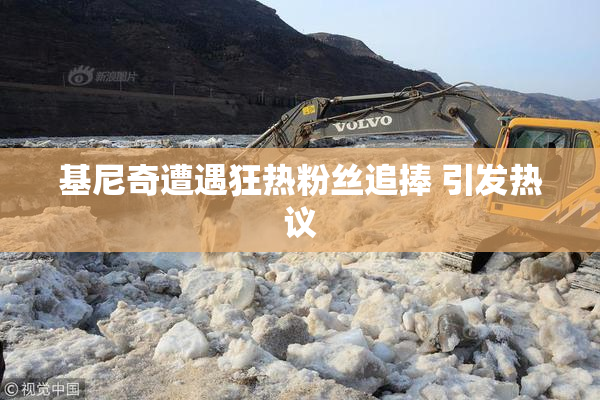 基尼奇遭遇狂热粉丝追捧 引发热议