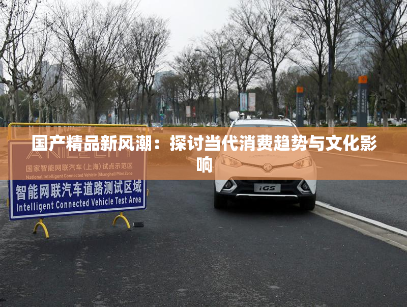国产精品新风潮：探讨当代消费趋势与文化影响