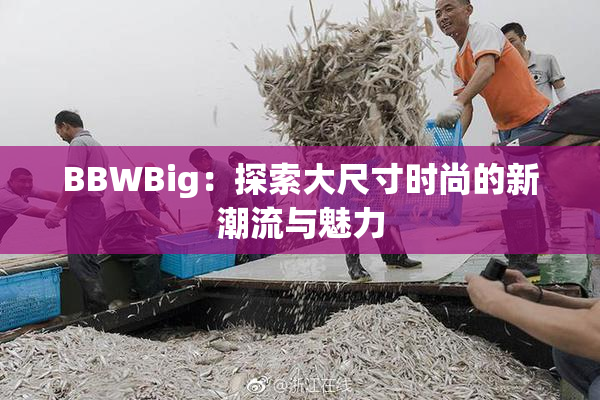 BBWBig：探索大尺寸时尚的新潮流与魅力