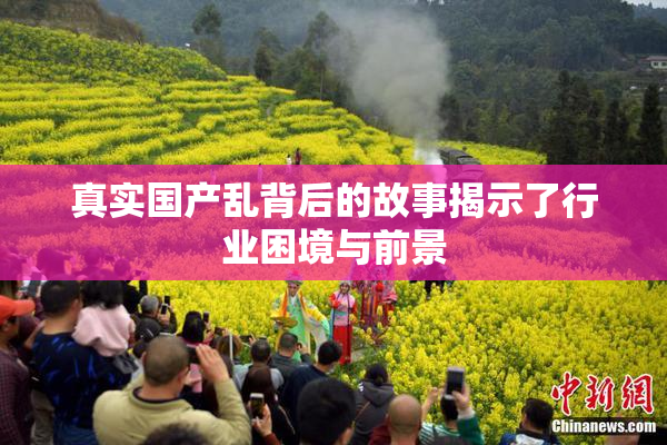 真实国产乱背后的故事揭示了行业困境与前景