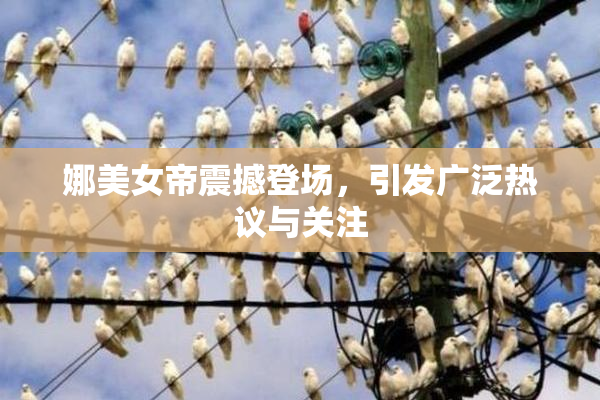 娜美女帝震撼登场，引发广泛热议与关注