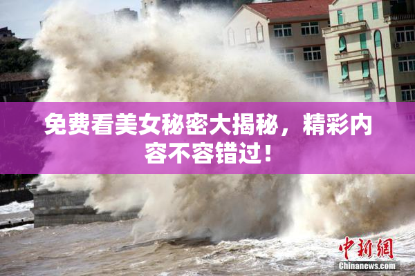 免费看美女秘密大揭秘，精彩内容不容错过！