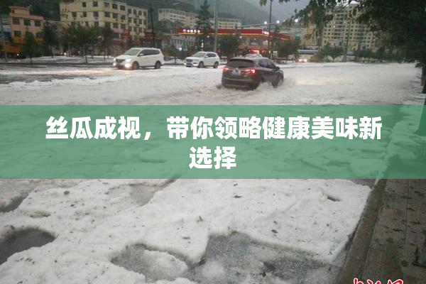 丝瓜成视，带你领略健康美味新选择