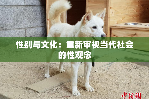 性别与文化：重新审视当代社会的性观念