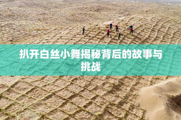 扒开白丝小舞揭秘背后的故事与挑战