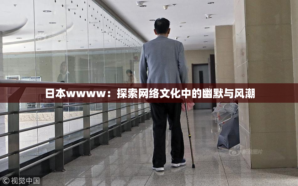 日本wwww：探索网络文化中的幽默与风潮