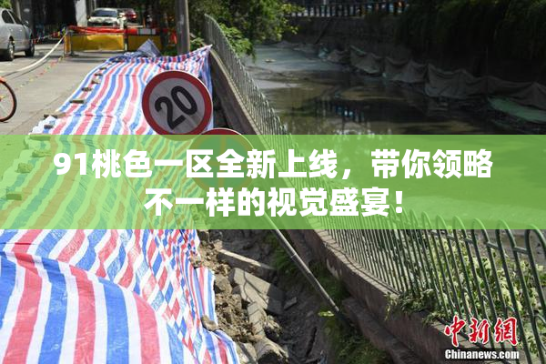 91桃色一区全新上线，带你领略不一样的视觉盛宴！
