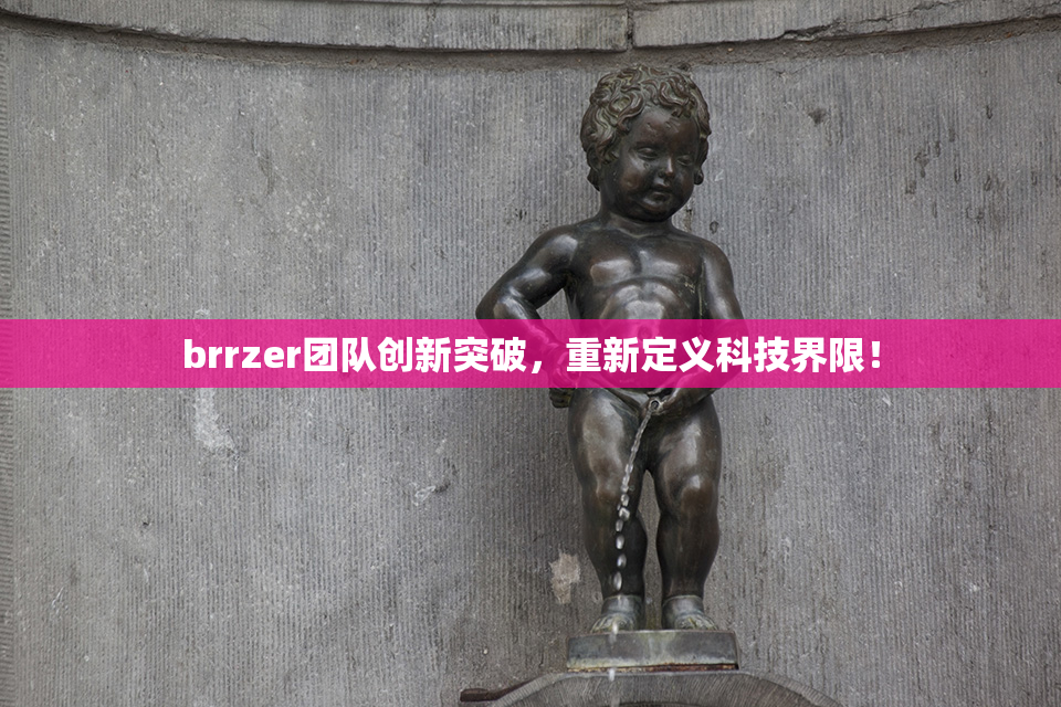 brrzer团队创新突破，重新定义科技界限！