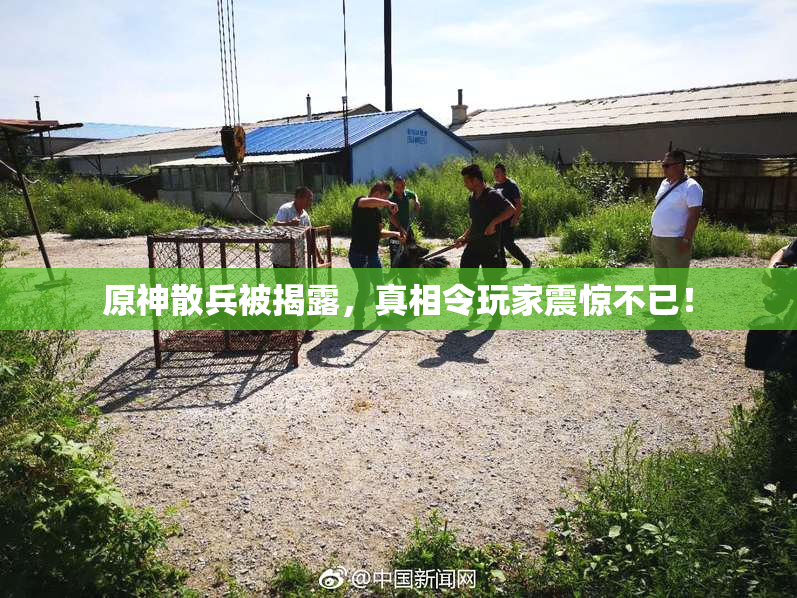 原神散兵被揭露，真相令玩家震惊不已！