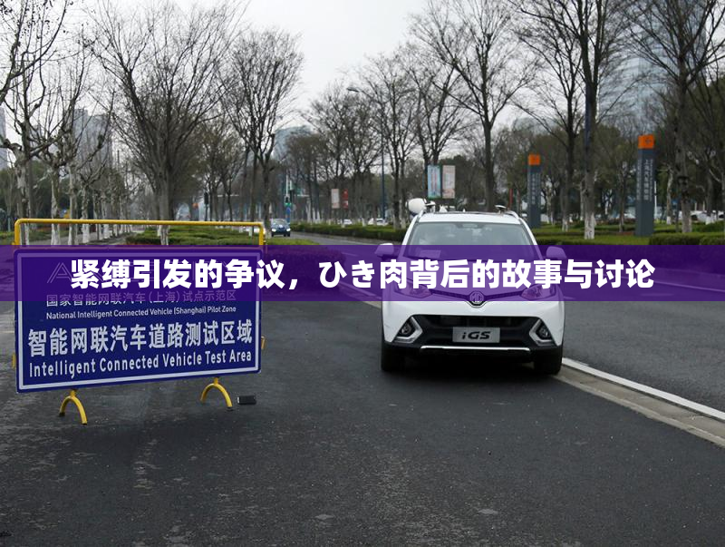 紧缚引发的争议，ひき肉背后的故事与讨论