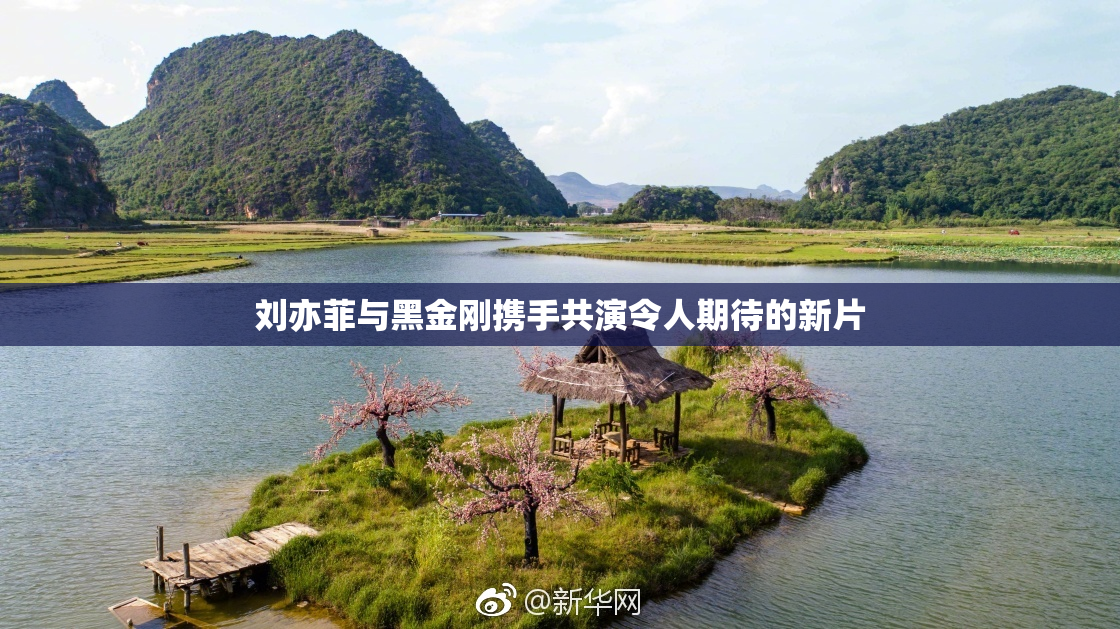刘亦菲与黑金刚携手共演令人期待的新片