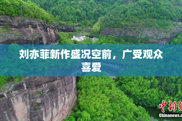 刘亦菲新作盛况空前，广受观众喜爱