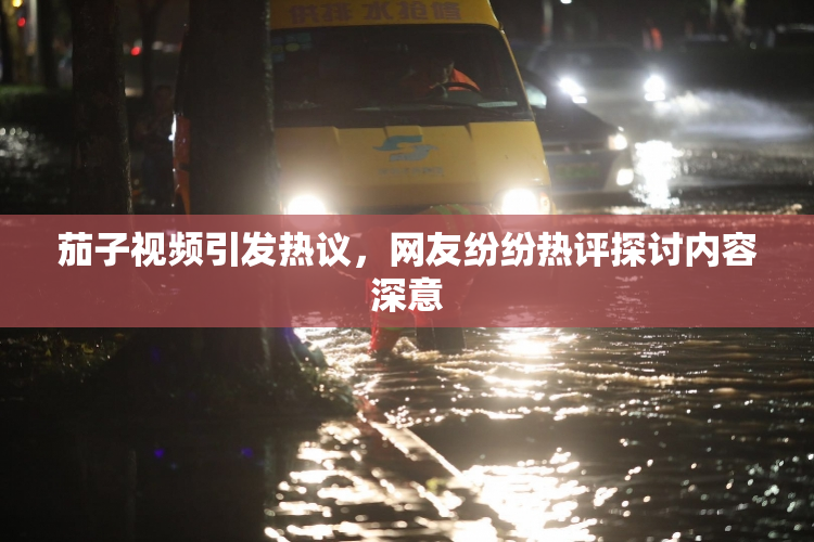 茄子视频引发热议，网友纷纷热评探讨内容深意