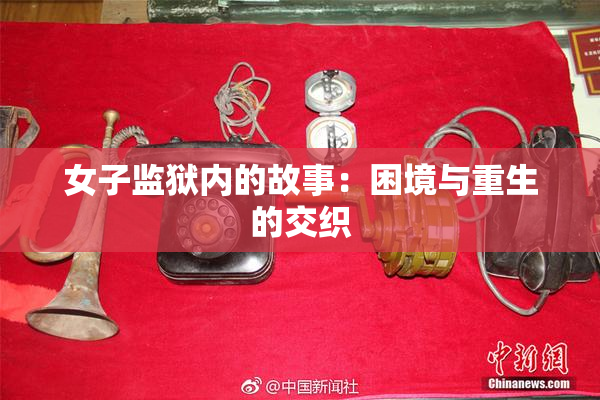 女子监狱内的故事：困境与重生的交织