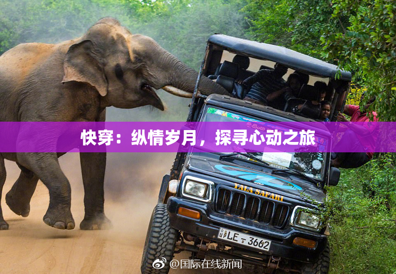 快穿：纵情岁月，探寻心动之旅