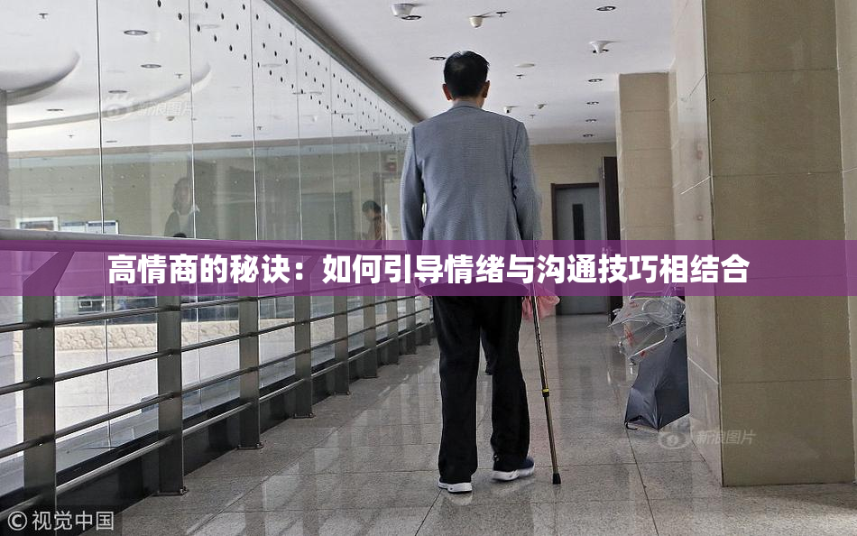 高情商的秘诀：如何引导情绪与沟通技巧相结合