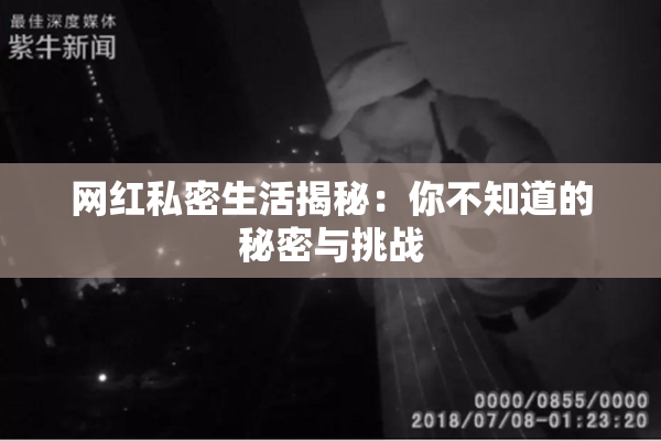 网红私密生活揭秘：你不知道的秘密与挑战
