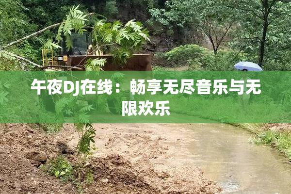 午夜DJ在线：畅享无尽音乐与无限欢乐