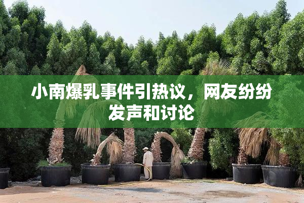 小南爆乳事件引热议，网友纷纷发声和讨论