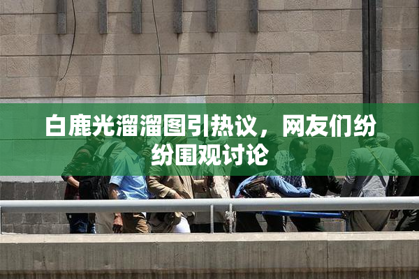 白鹿光溜溜图引热议，网友们纷纷围观讨论