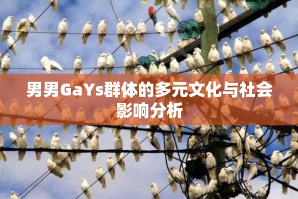 男男GaYs群体的多元文化与社会影响分析