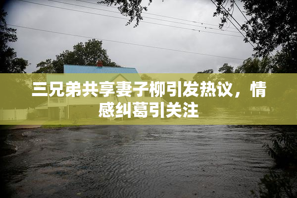 三兄弟共享妻子柳引发热议，情感纠葛引关注