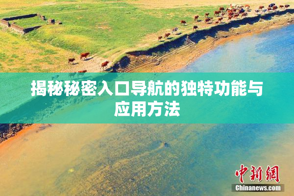 揭秘秘密入口导航的独特功能与应用方法