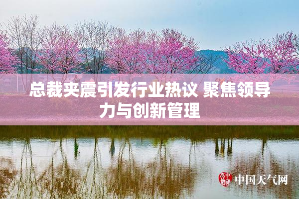 总裁夹震引发行业热议 聚焦领导力与创新管理