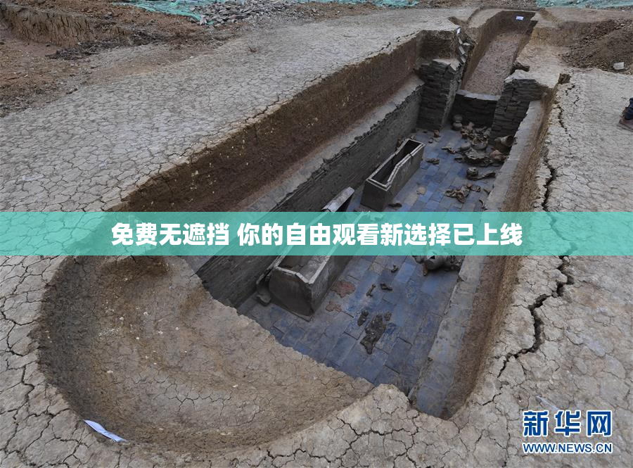 免费无遮挡 你的自由观看新选择已上线