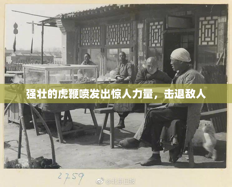 强壮的虎鞭喷发出惊人力量，击退敌人
