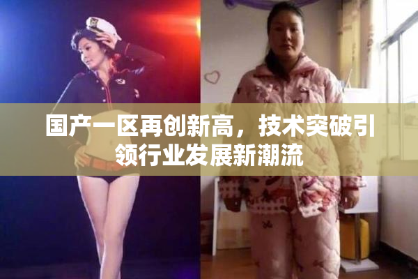 国产一区再创新高，技术突破引领行业发展新潮流