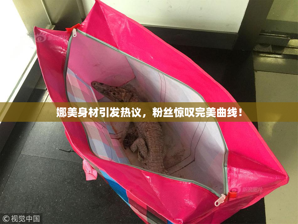 娜美身材引发热议，粉丝惊叹完美曲线！