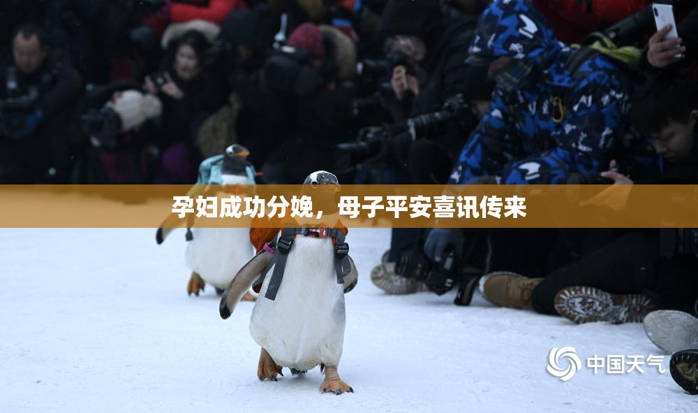 孕妇成功分娩，母子平安喜讯传来