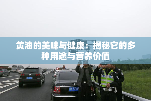 黄油的美味与健康：揭秘它的多种用途与营养价值