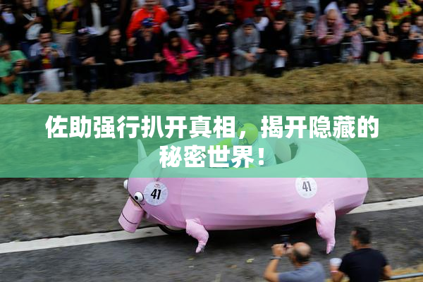 佐助强行扒开真相，揭开隐藏的秘密世界！