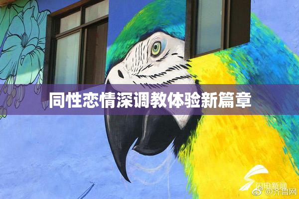 同性恋情深调教体验新篇章