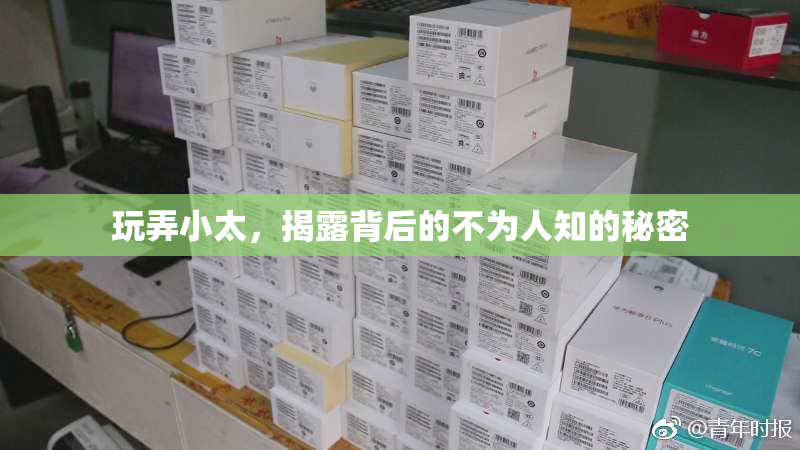 玩弄小太，揭露背后的不为人知的秘密