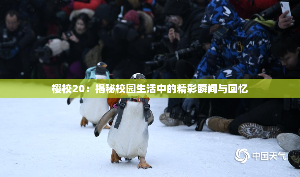 樱校20：揭秘校园生活中的精彩瞬间与回忆
