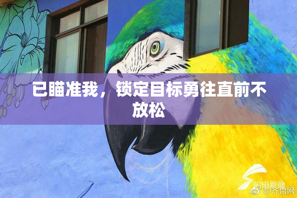 已瞄准我，锁定目标勇往直前不放松