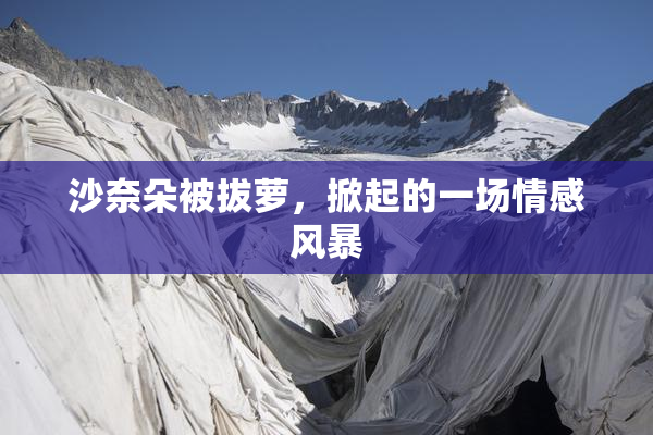 沙奈朵被拔萝，掀起的一场情感风暴