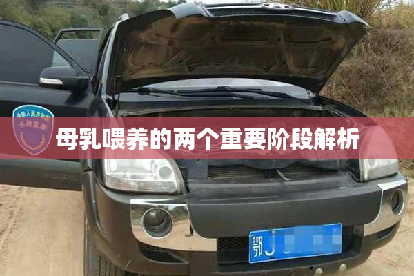 母乳喂养的两个重要阶段解析
