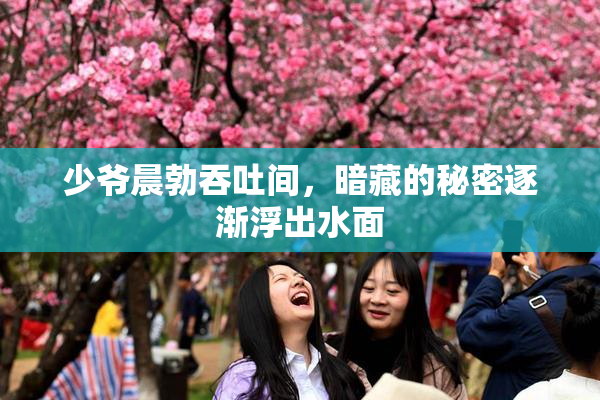 少爷晨勃吞吐间，暗藏的秘密逐渐浮出水面