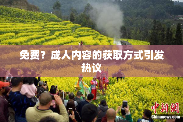 免费？成人内容的获取方式引发热议