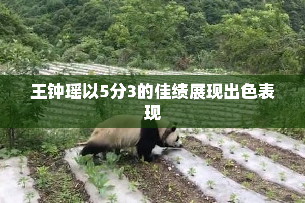 王钟瑶以5分3的佳绩展现出色表现