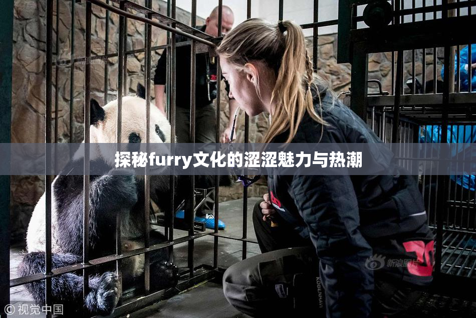 探秘furry文化的涩涩魅力与热潮