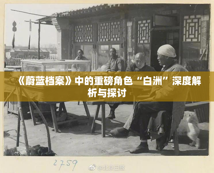 《蔚蓝档案》中的重磅角色“白洲”深度解析与探讨