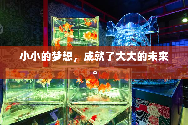 小小的梦想，成就了大大的未来。