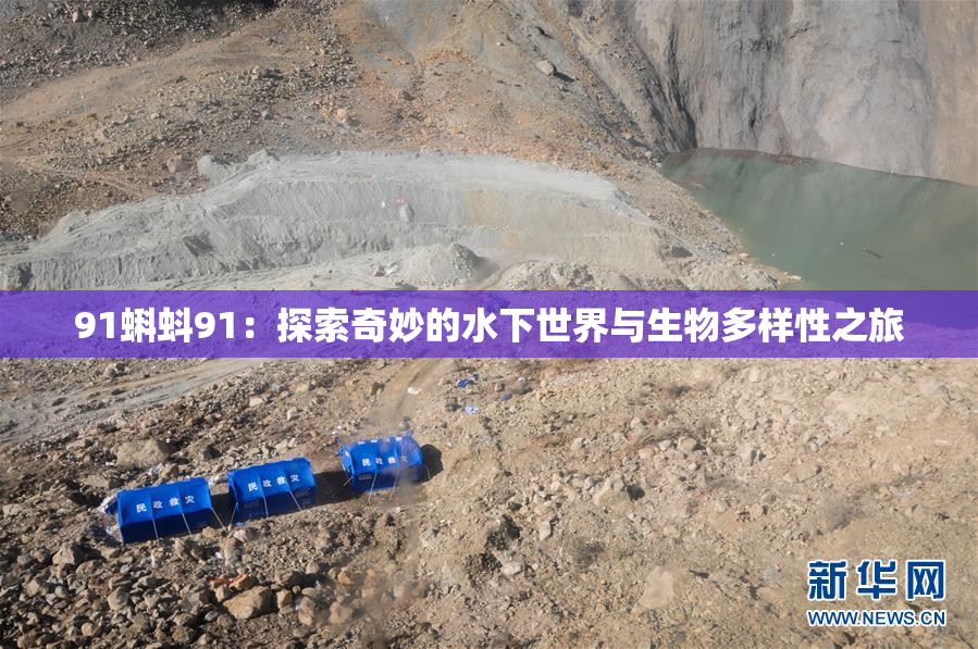 91蝌蚪91：探索奇妙的水下世界与生物多样性之旅