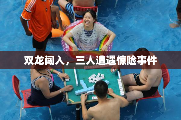 双龙闯入，三人遭遇惊险事件